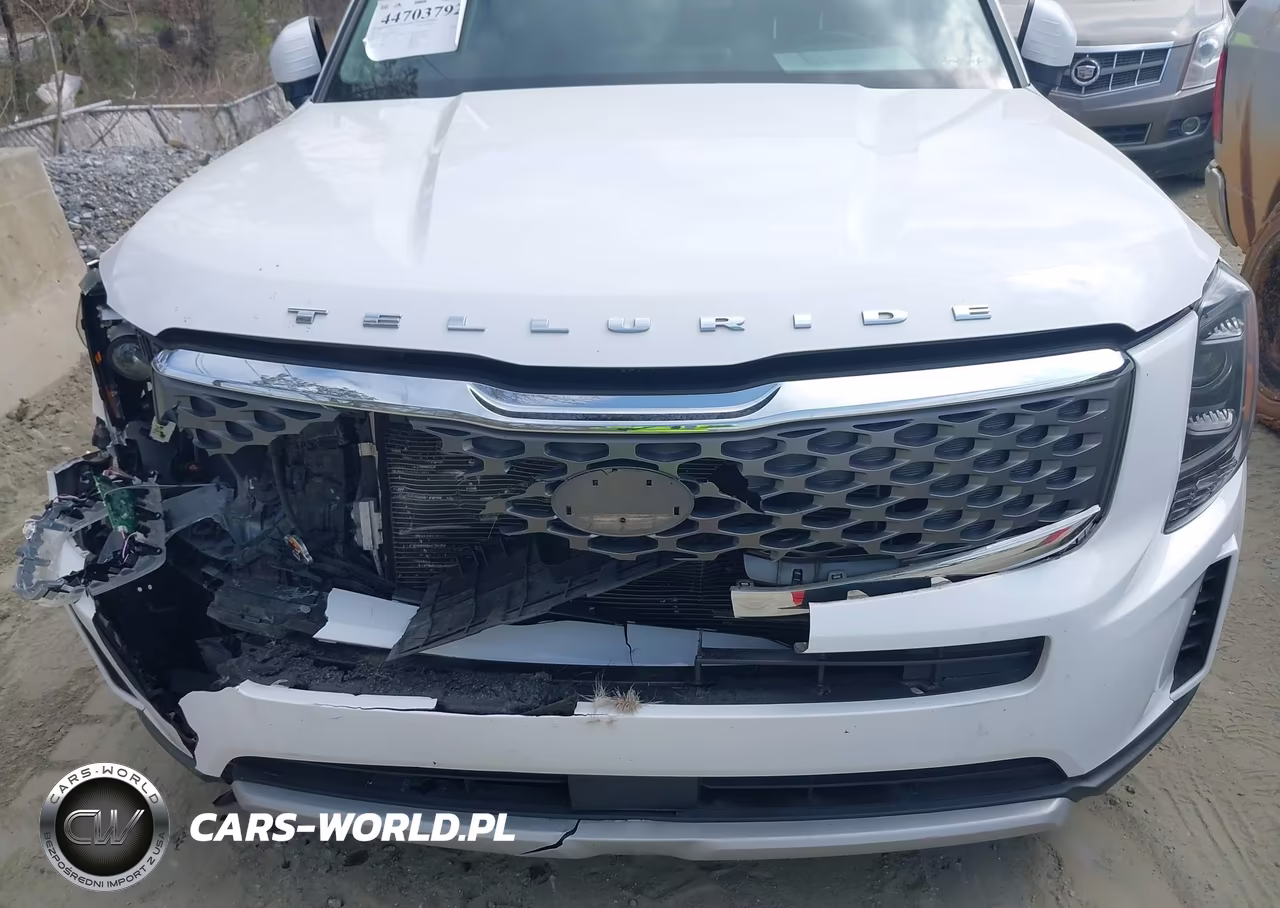 2021 Kia Telluride Lx VIN:5XYP2DHC5MG183457 - 6