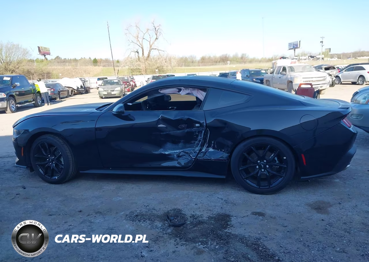 2025 Ford Mustang Ecoboost Premium Fastback VIN:1FA6P8TH1S5115255 - 13