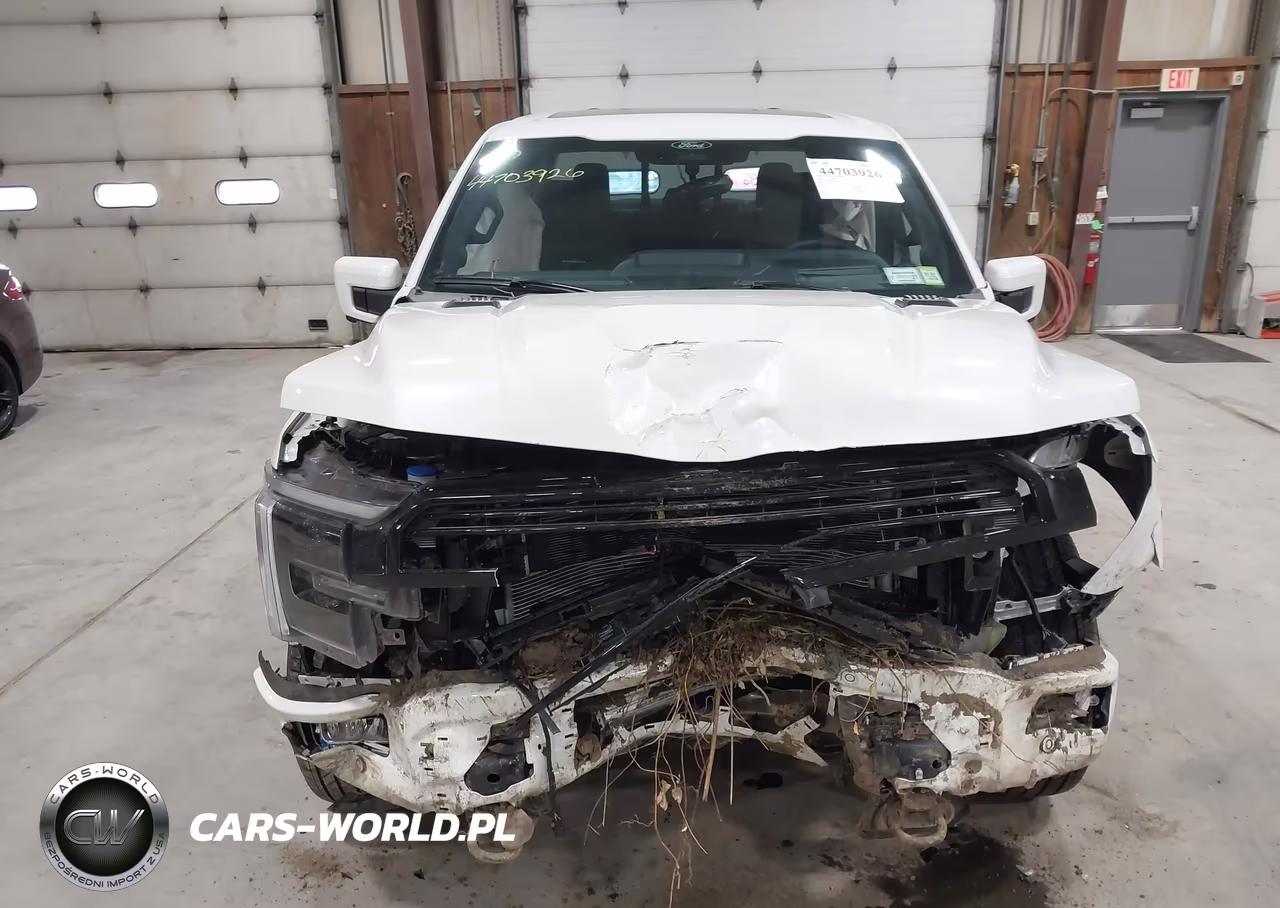 2025 Ford F-150 Platinum VIN:1FTFW7LD9SFC30331 - 11