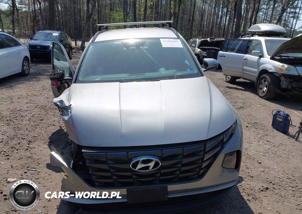 2022 Hyundai Tucson Hybrid Blue VIN:KM8JBCA19NU079316 - 6
