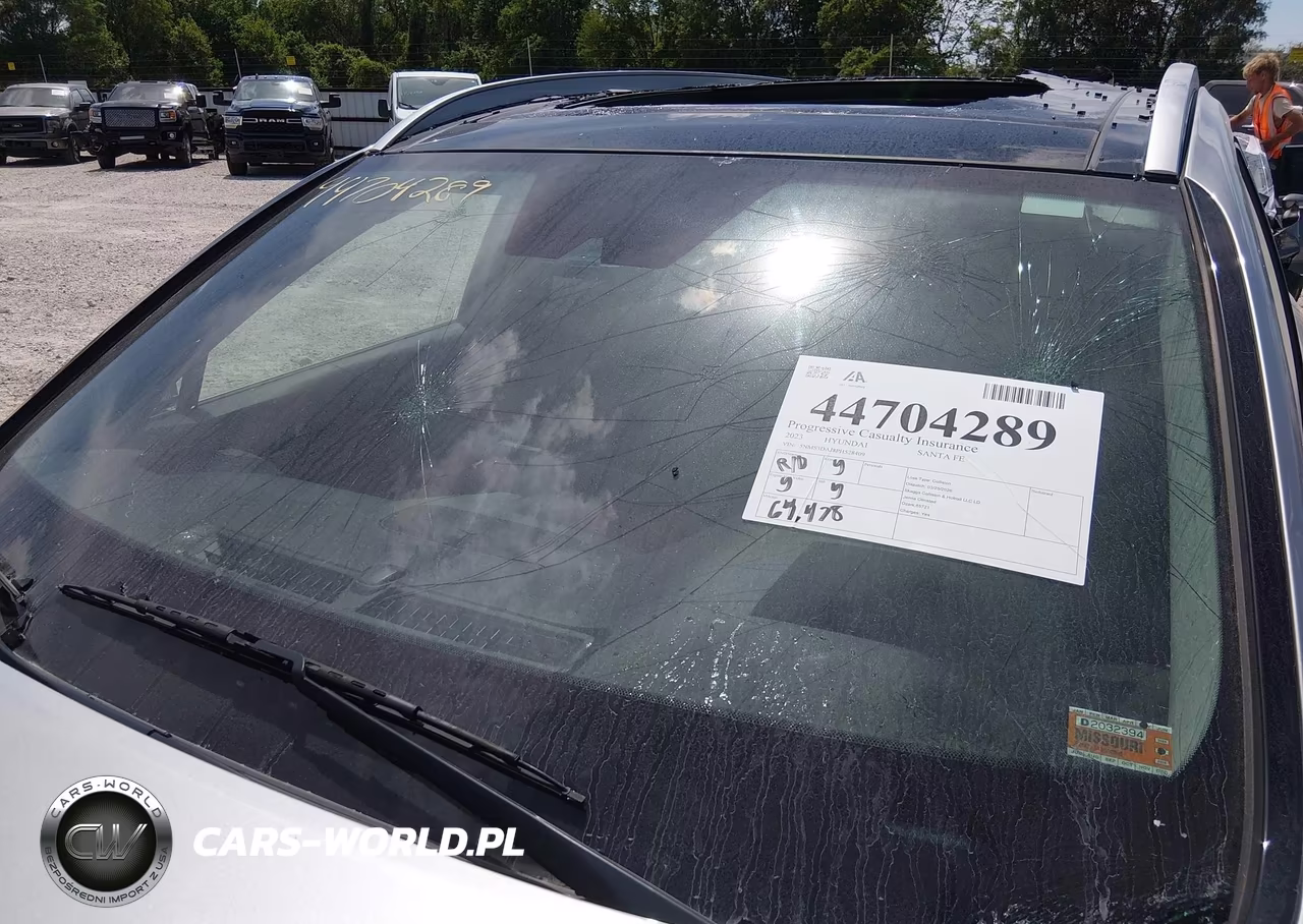 2023 Hyundai Santa Fe Sel VIN:5NMS3DAJ8PH528409 - 20