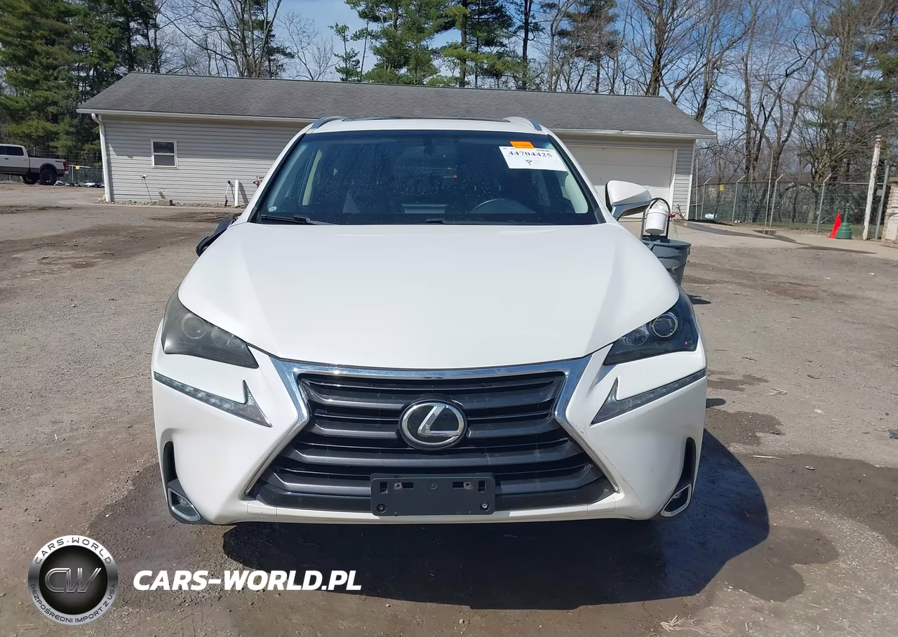 2015 Lexus Nx 200T VIN:JTJBARBZ2F2032397 - 12