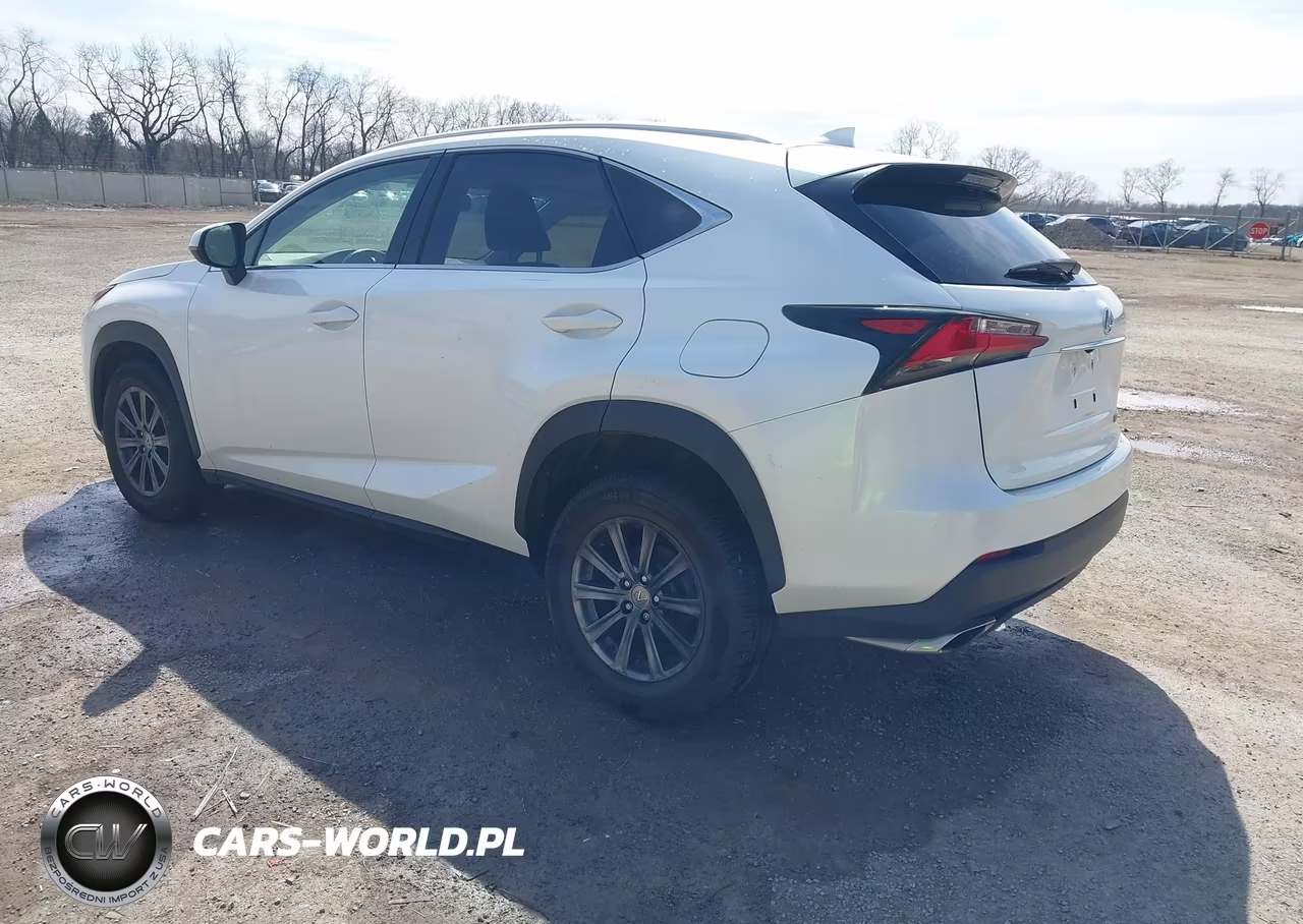 2015 Lexus Nx 200T VIN:JTJBARBZ2F2032397 - 3
