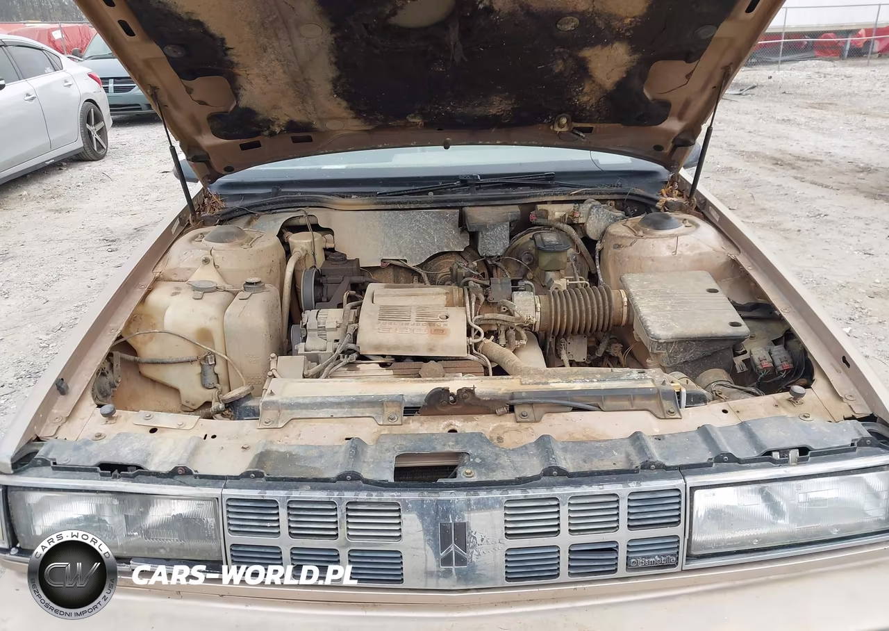 1990 Oldsmobile 98 Regency VIN:1G3CX54C2L4309654 - 10