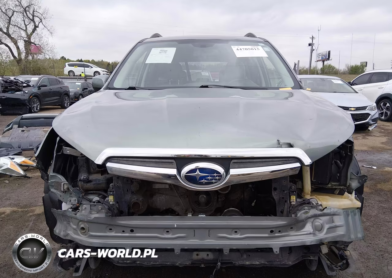 2014 Subaru Forester 2.5I Premium VIN:JF2SJAEC9EH494514 - 13