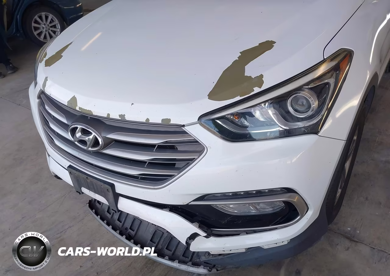 2017 Hyundai Santa Fe Sport 2.4L VIN:5NMZU3LB6HH013325 - 6