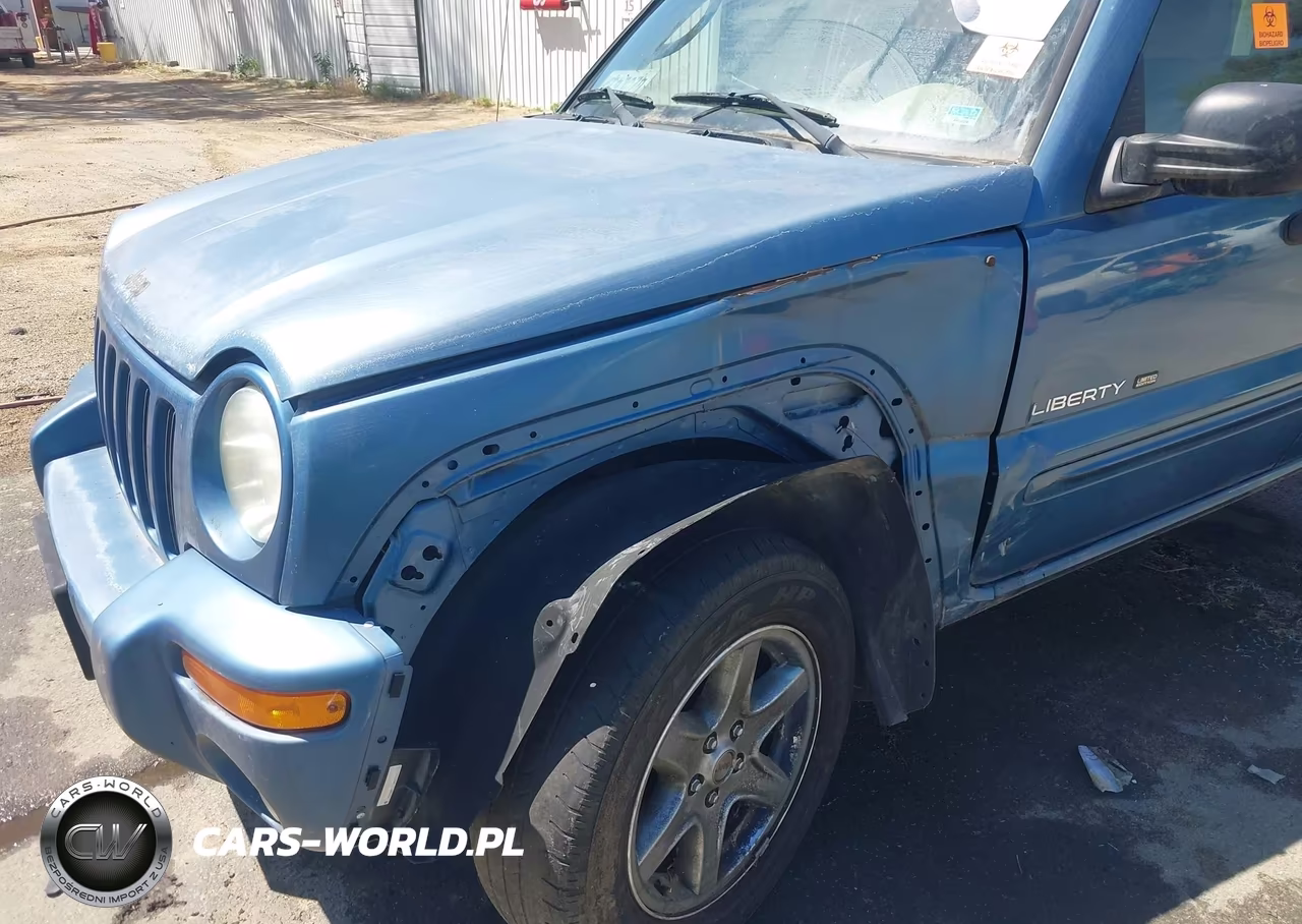 2003 Jeep Liberty Limited Edition VIN:1J4GK58K53W541858 - 6