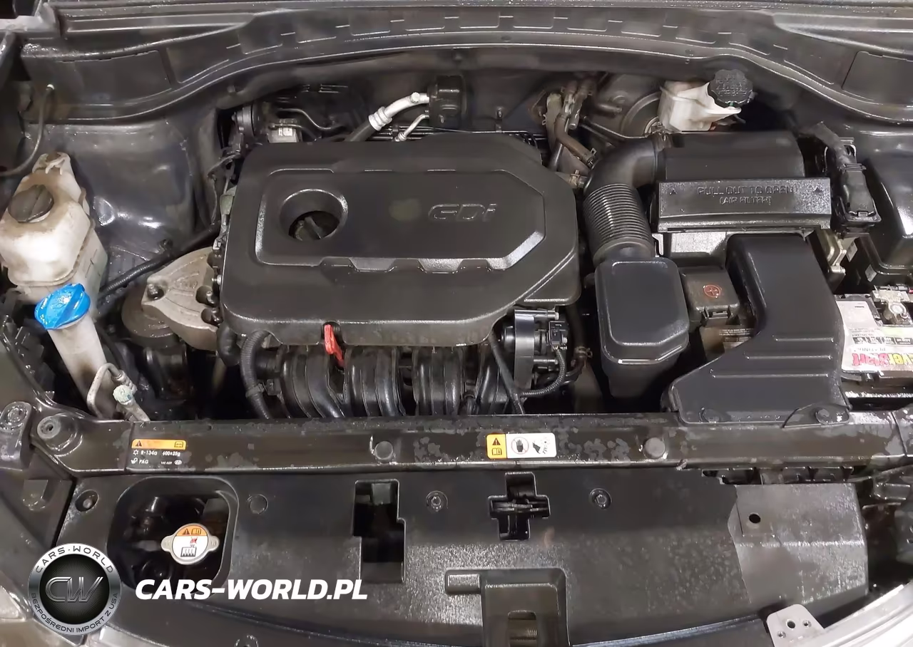 2017 Hyundai Santa Fe Sport 2.4L VIN:5XYZUDLB9HG490217 - 10