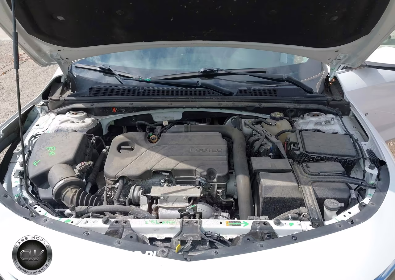 2019 Chevrolet Malibu Lt VIN:1G1ZD5ST0KF201258 - 10