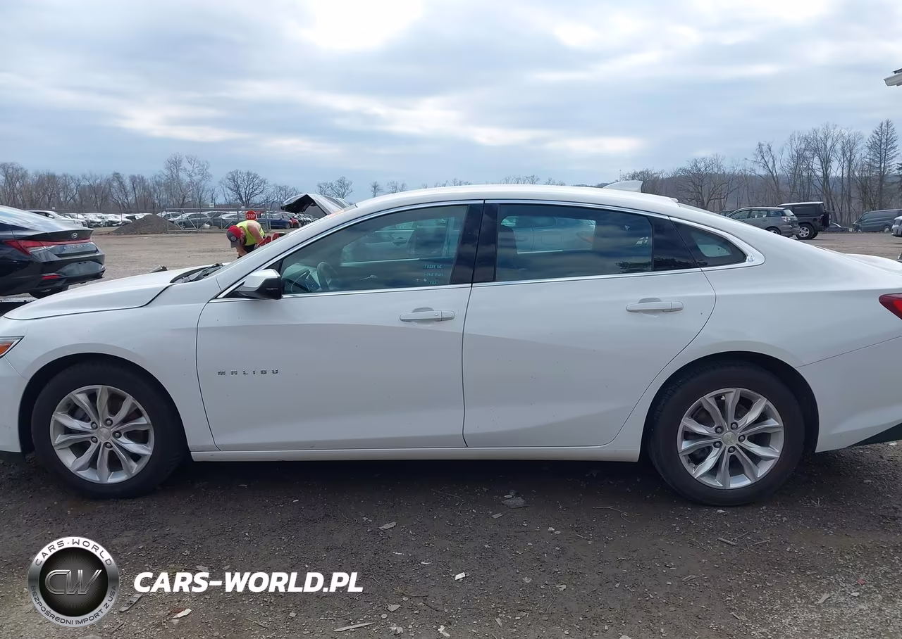 2019 Chevrolet Malibu Lt VIN:1G1ZD5ST0KF201258 - 14