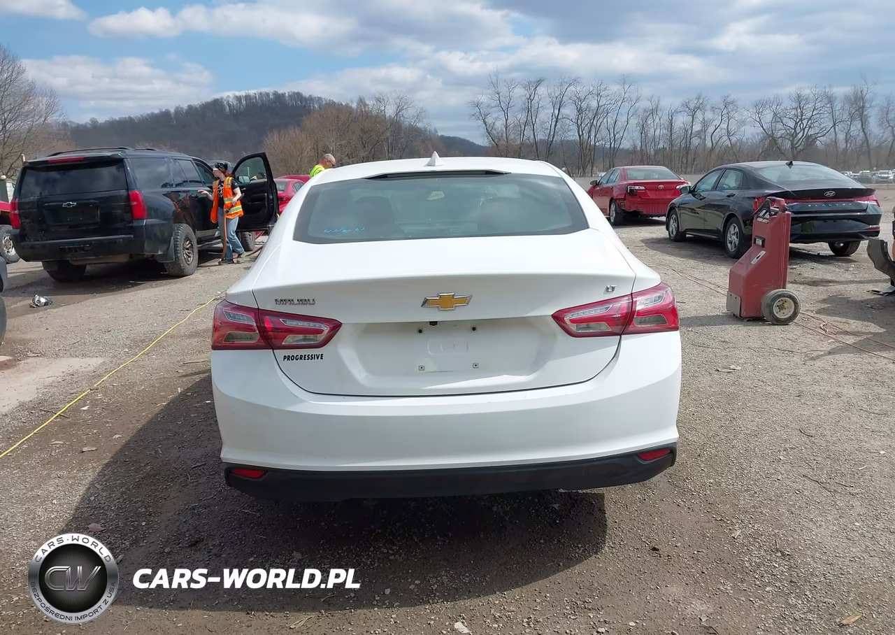 2019 Chevrolet Malibu Lt VIN:1G1ZD5ST0KF201258 - 16