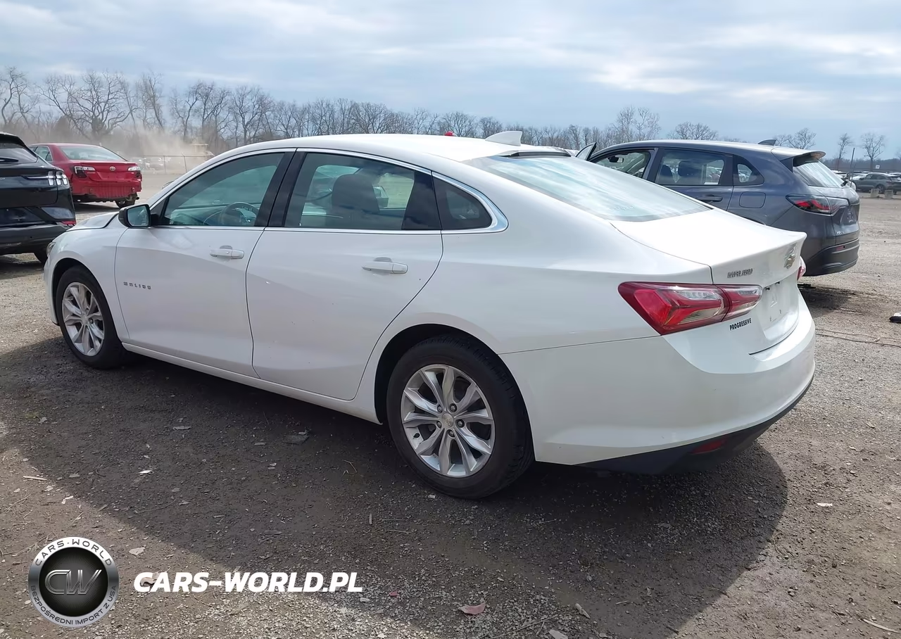 2019 Chevrolet Malibu Lt VIN:1G1ZD5ST0KF201258 - 3