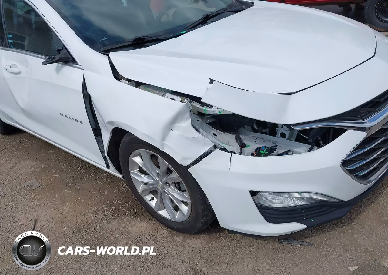 2019 Chevrolet Malibu Lt VIN:1G1ZD5ST0KF201258 - 6