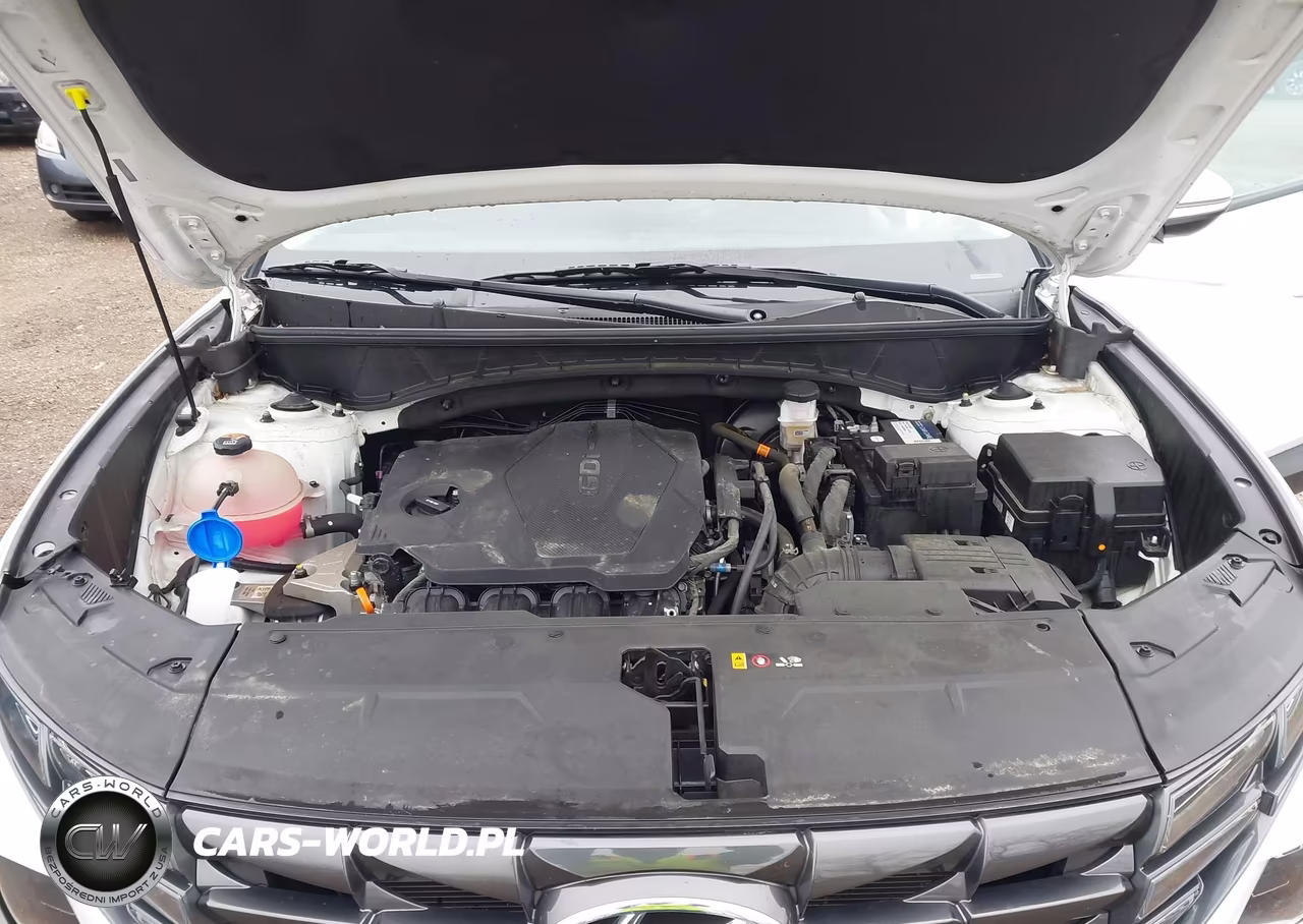2023 Hyundai Tucson Sel VIN:5NMJBCAE3PH188968 - 10