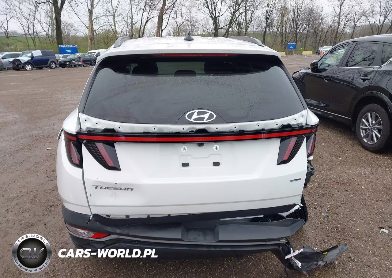 2023 Hyundai Tucson Sel VIN:5NMJBCAE3PH188968 - 16