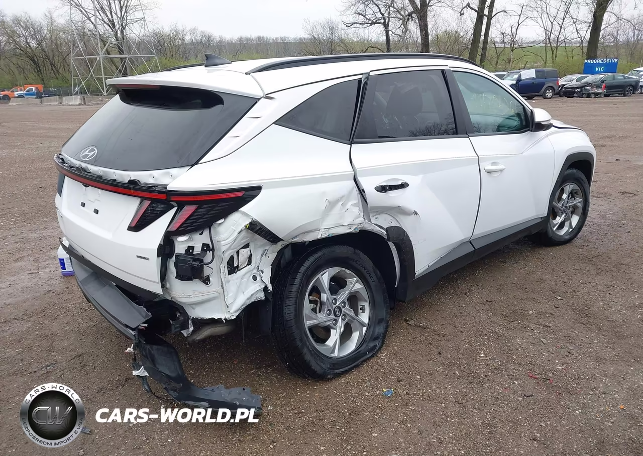 2023 Hyundai Tucson Sel VIN:5NMJBCAE3PH188968 - 4