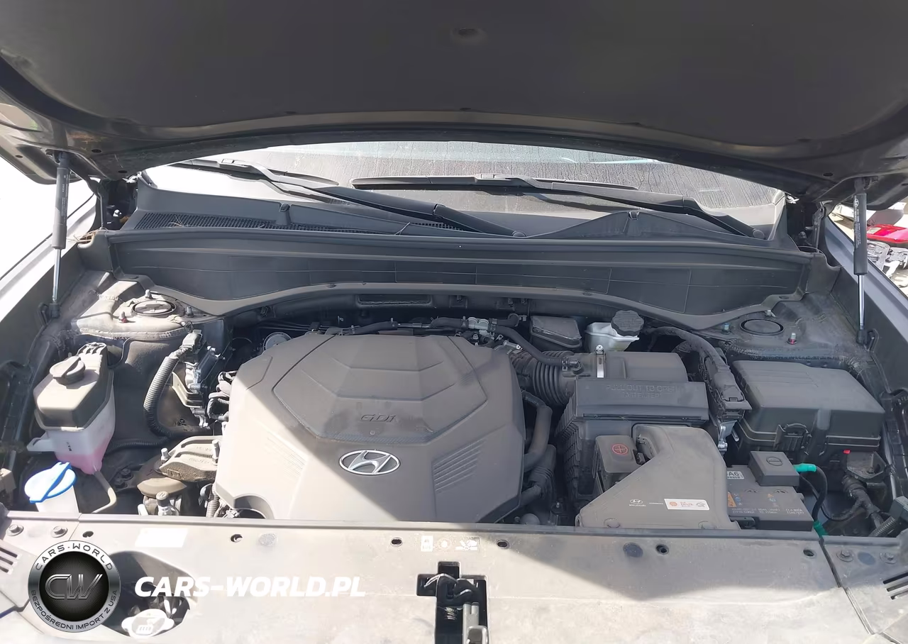 2023 Hyundai Palisade Limited VIN:KM8R54GE0PU626647 - 10