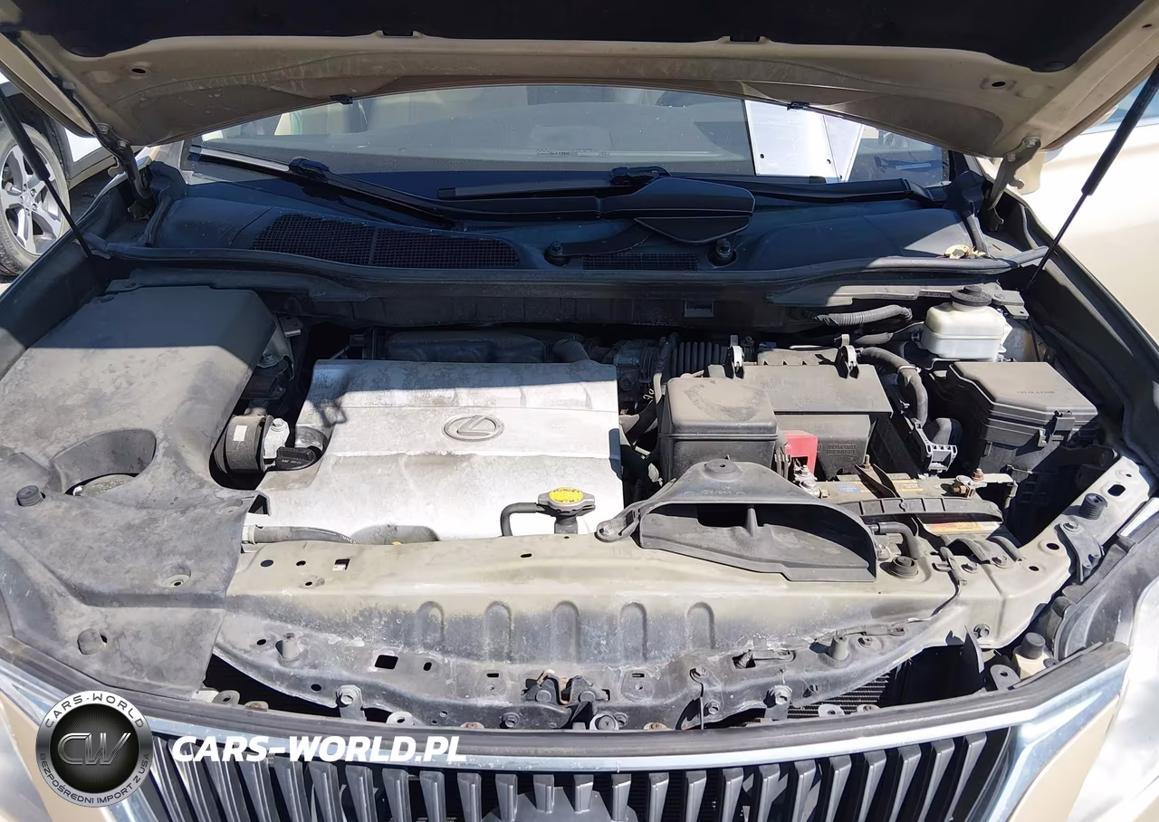 2010 Lexus Rx 350 VIN:2T2BK1BA2AC063120 - 10