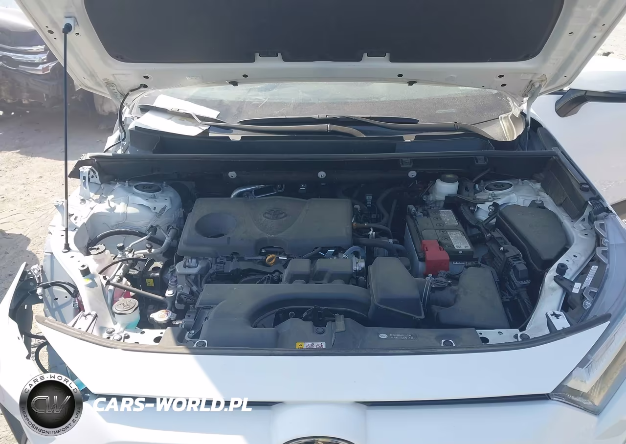 2024 Toyota Rav4 Xle VIN:2T3W1RFV4RC273581 - 10