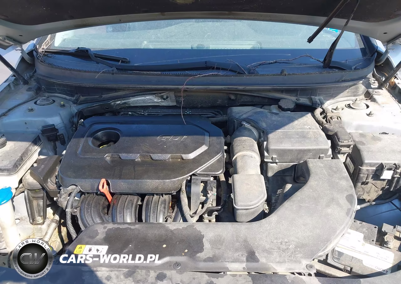 2015 Hyundai Sonata Se VIN:5NPE24AFXFH169626 - 10