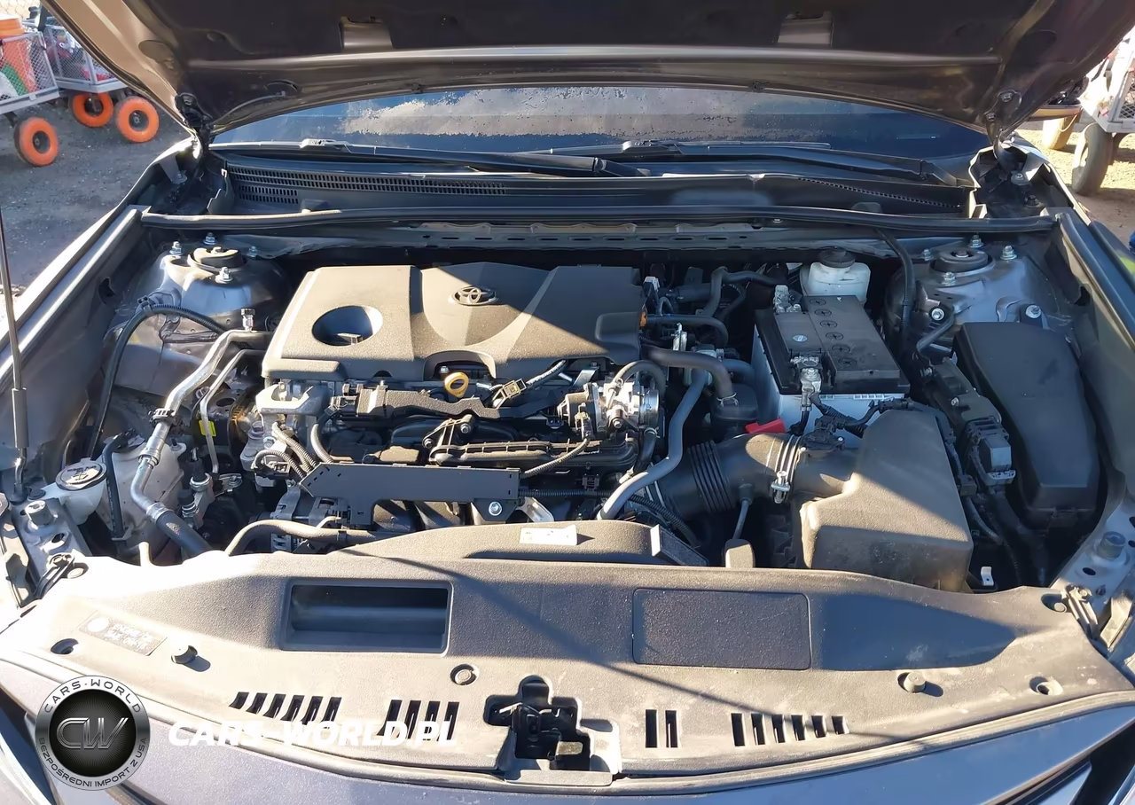 2021 Toyota Camry Le VIN:4T1C11AK9MU466455 - 10