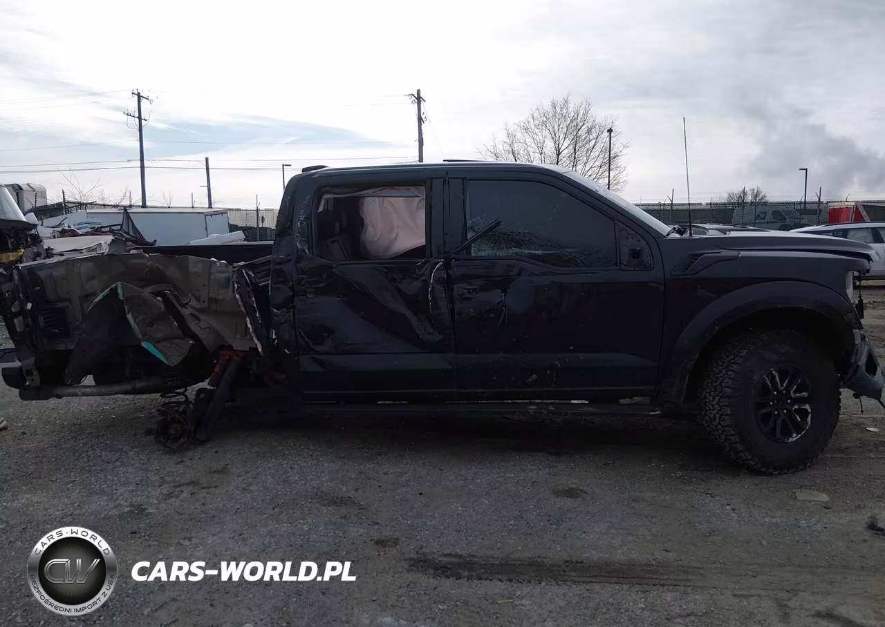 2024 Ford F-150 Raptor VIN:1FTFW1RG9RFB96660 - 12