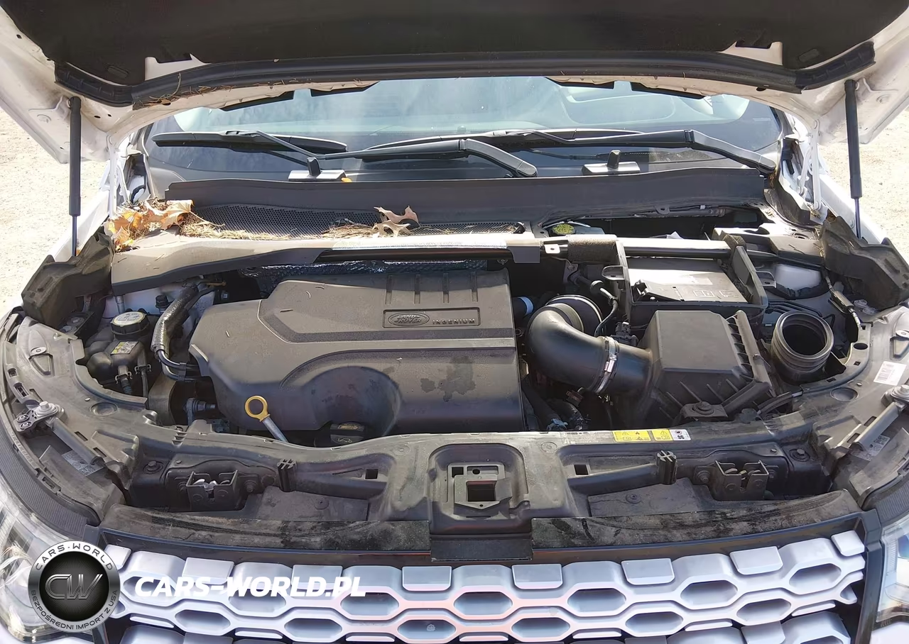 2020 Land Rover Discovery Sport S VIN:SALCJ2FX3LH835552 - 10