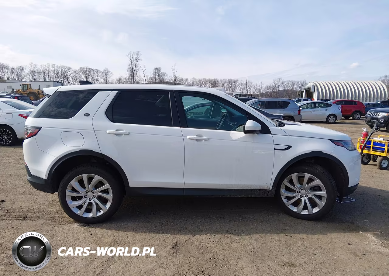 2020 Land Rover Discovery Sport S VIN:SALCJ2FX3LH835552 - 13
