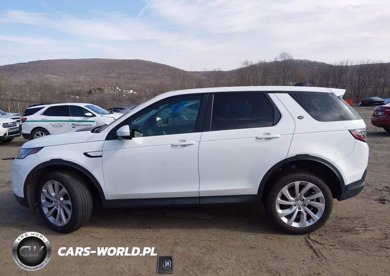 2020 Land Rover Discovery Sport S VIN:SALCJ2FX3LH835552 - 14
