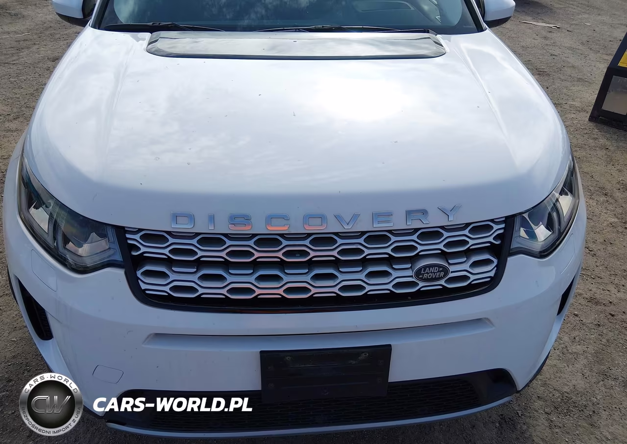 2020 Land Rover Discovery Sport S VIN:SALCJ2FX3LH835552 - 6