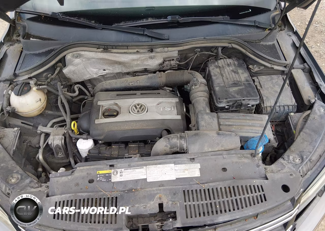 2014 Volkswagen Tiguan R-Line VIN:WVGBV3AX1EW010480 - 10