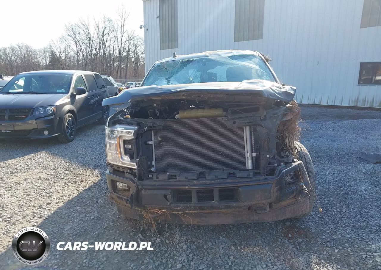 2020 Ford F-150 Xl VIN:1FTEW1EP5LFA59479 - 12