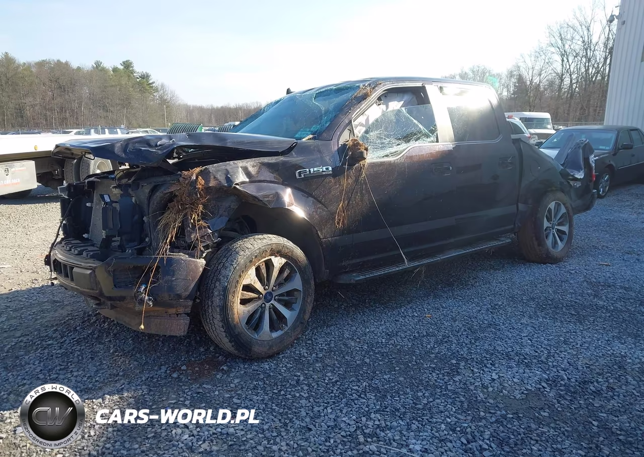 2020 Ford F-150 Xl VIN:1FTEW1EP5LFA59479 - 2
