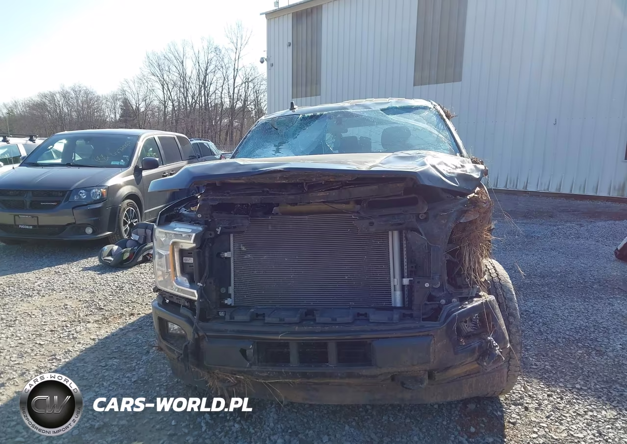 2020 Ford F-150 Xl VIN:1FTEW1EP5LFA59479 - 6