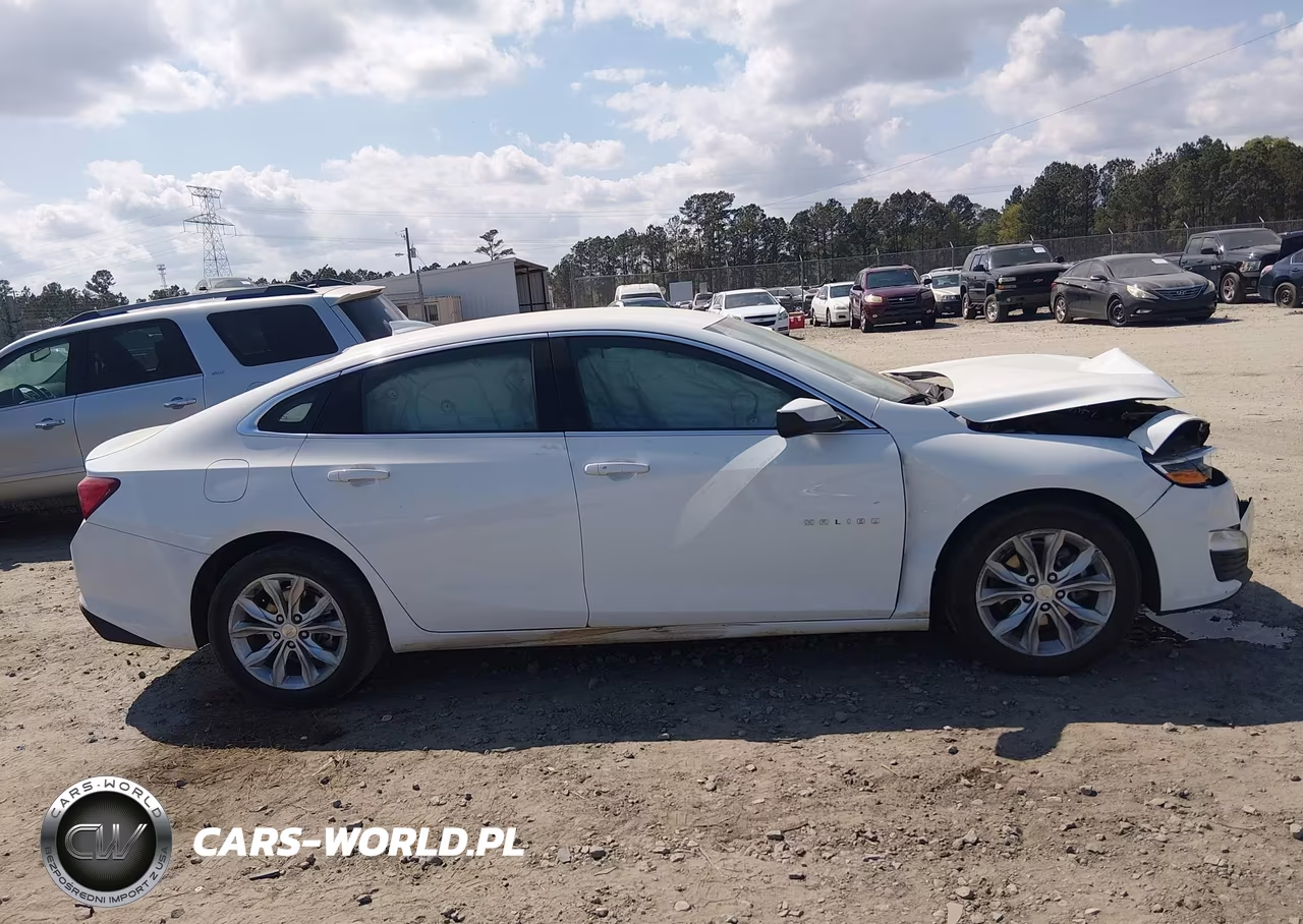 2023 Chevrolet Malibu Fwd 1Lt VIN:1G1ZD5ST9PF136093 - 13