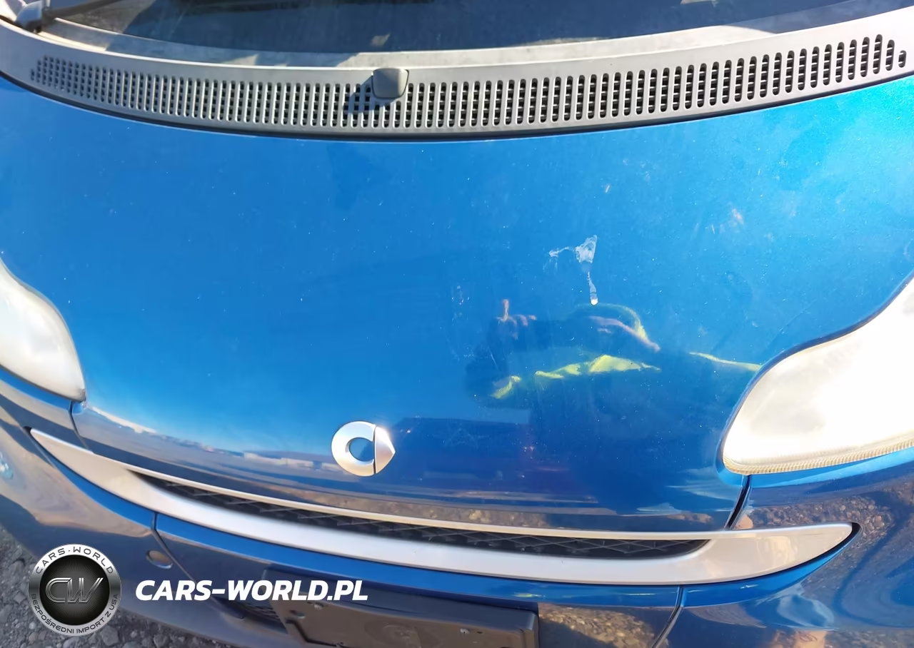 2008 Smart Fortwo Passion VIN:WMEEK31X98K167147 - 10