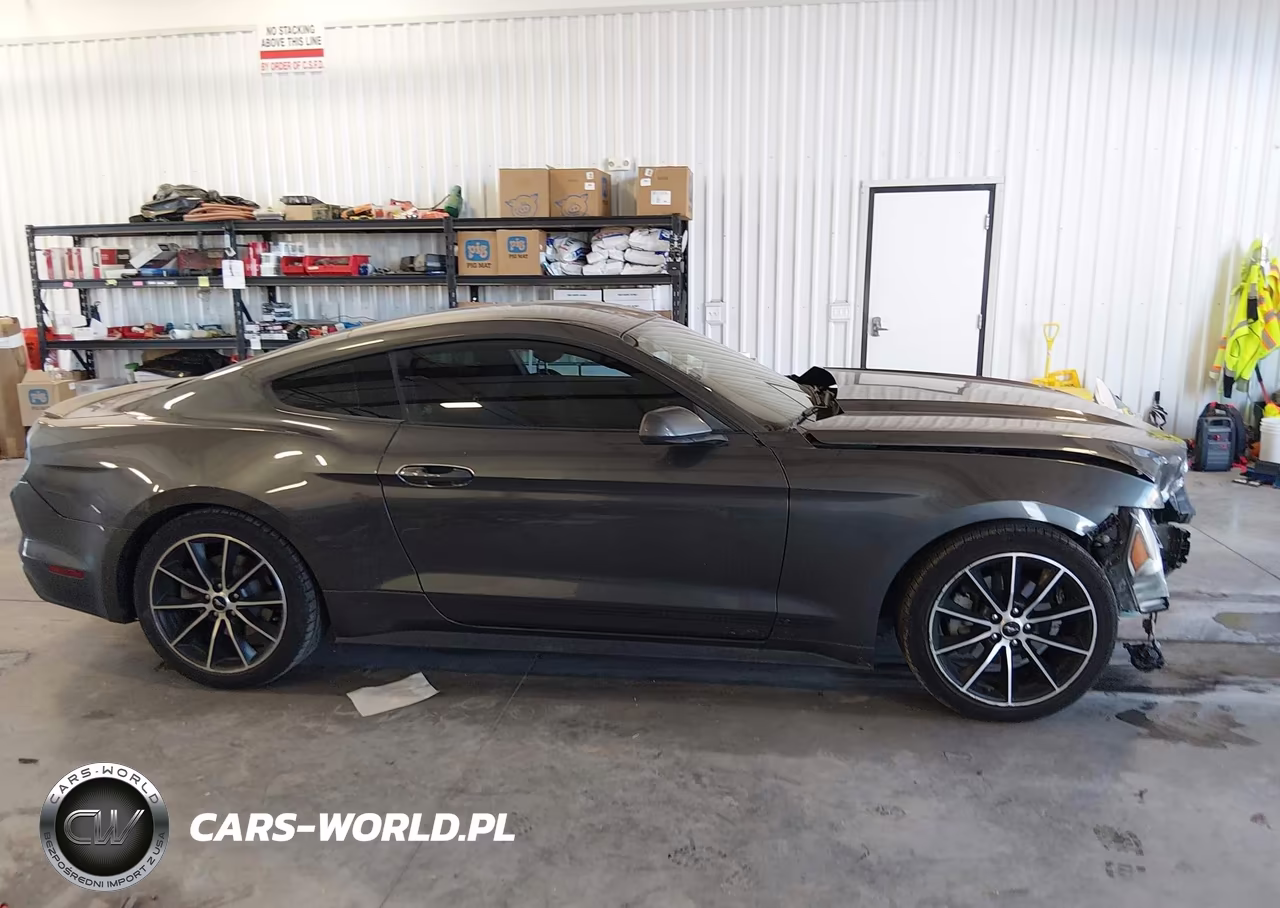 2017 Ford Mustang Ecoboost VIN:1FA6P8TH5H5217568 - 14
