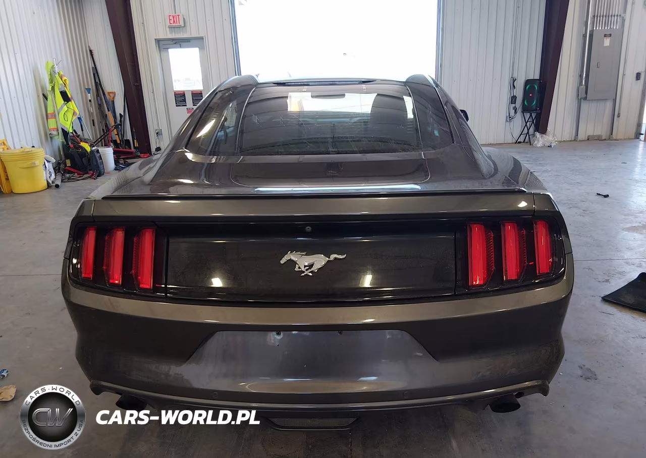 2017 Ford Mustang Ecoboost VIN:1FA6P8TH5H5217568 - 17