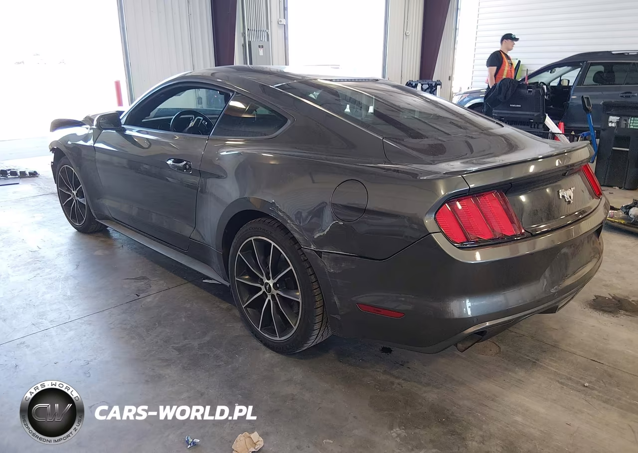 2017 Ford Mustang Ecoboost VIN:1FA6P8TH5H5217568 - 3