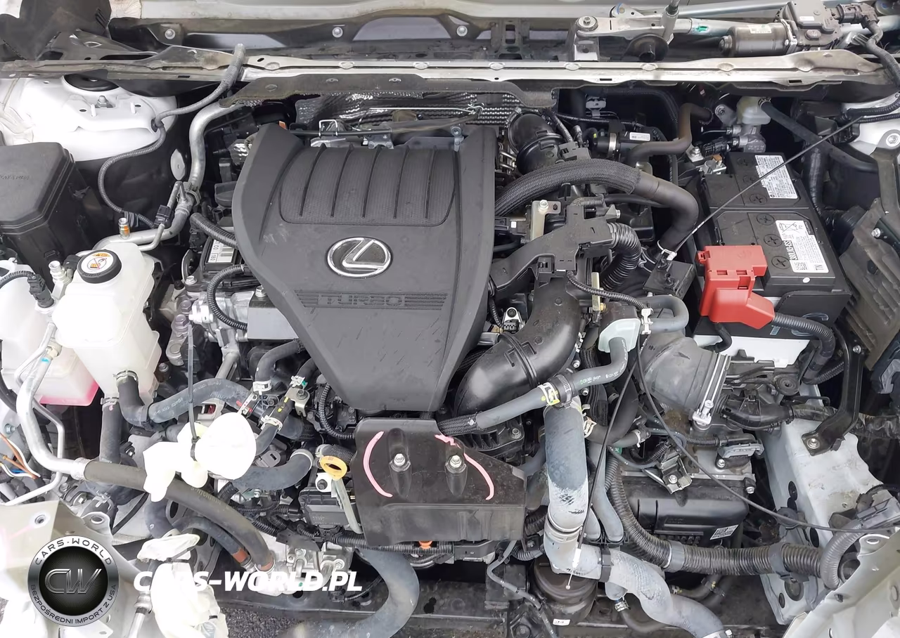 2024 Lexus Rx 350 VIN:2T2BAMBA6RC032145 - 10