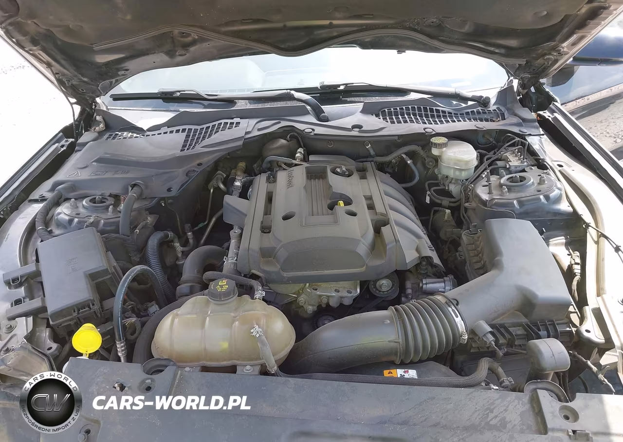 2016 Ford Mustang Ecoboost VIN:1FA6P8TH0G5271391 - 10