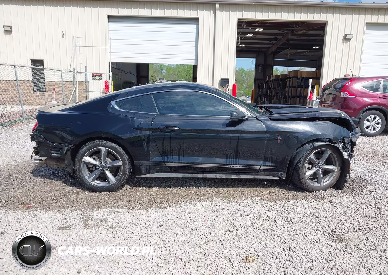 2016 Ford Mustang Ecoboost VIN:1FA6P8TH0G5271391 - 13