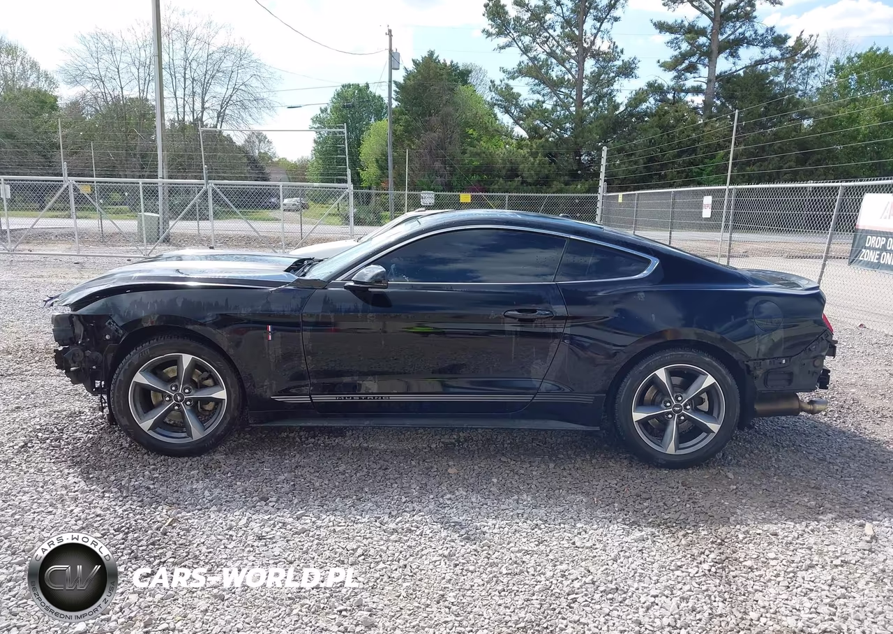 2016 Ford Mustang Ecoboost VIN:1FA6P8TH0G5271391 - 14