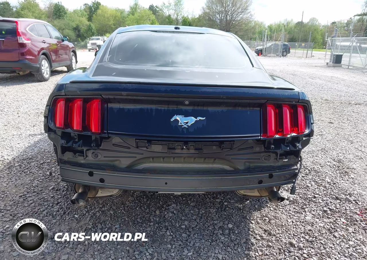 2016 Ford Mustang Ecoboost VIN:1FA6P8TH0G5271391 - 16