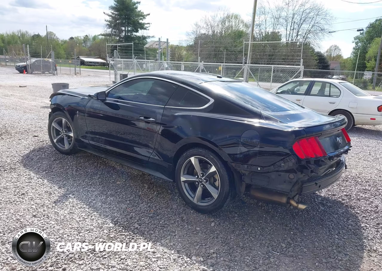 2016 Ford Mustang Ecoboost VIN:1FA6P8TH0G5271391 - 3