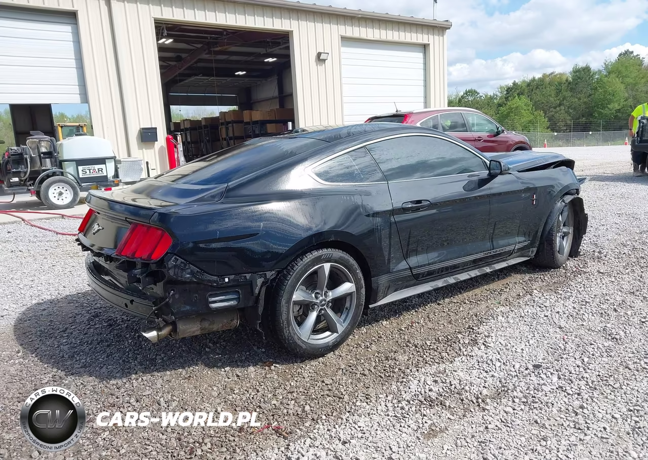 2016 Ford Mustang Ecoboost VIN:1FA6P8TH0G5271391 - 4