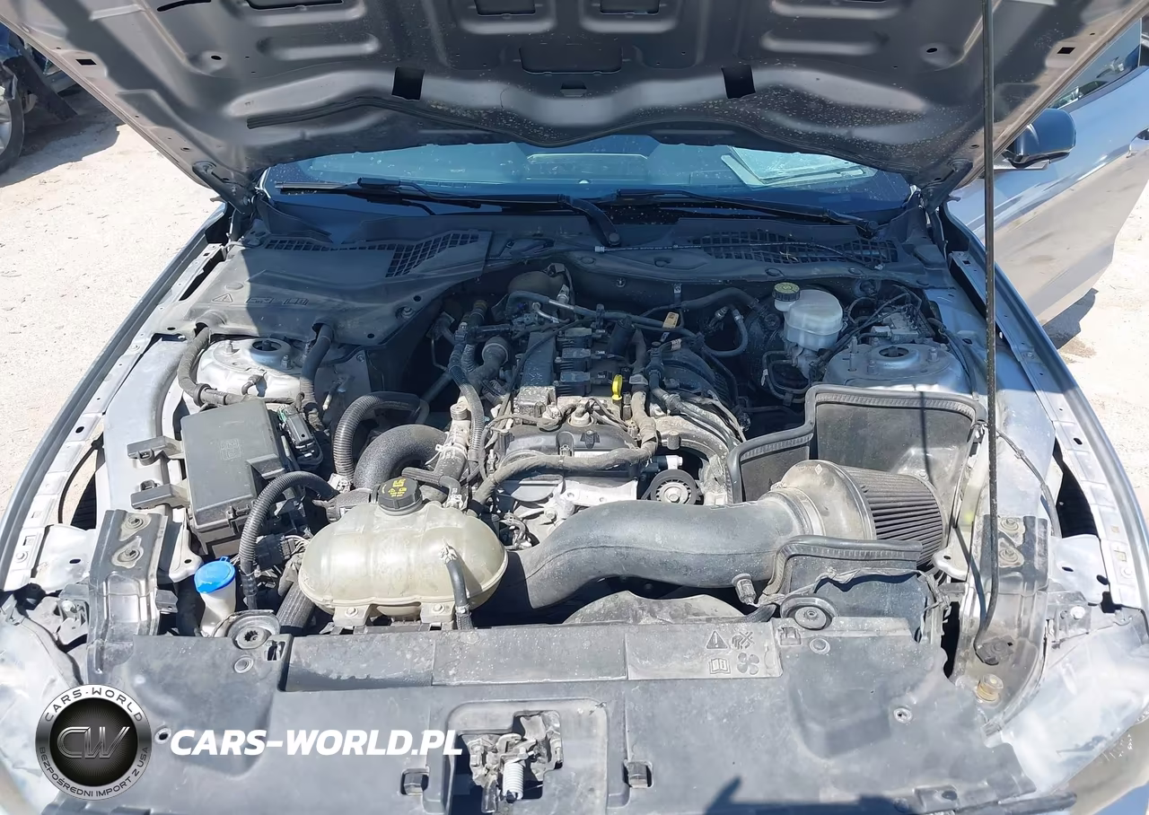 2022 Ford Mustang Ecoboost Premium Fastback VIN:1FA6P8TH3N5106111 - 10