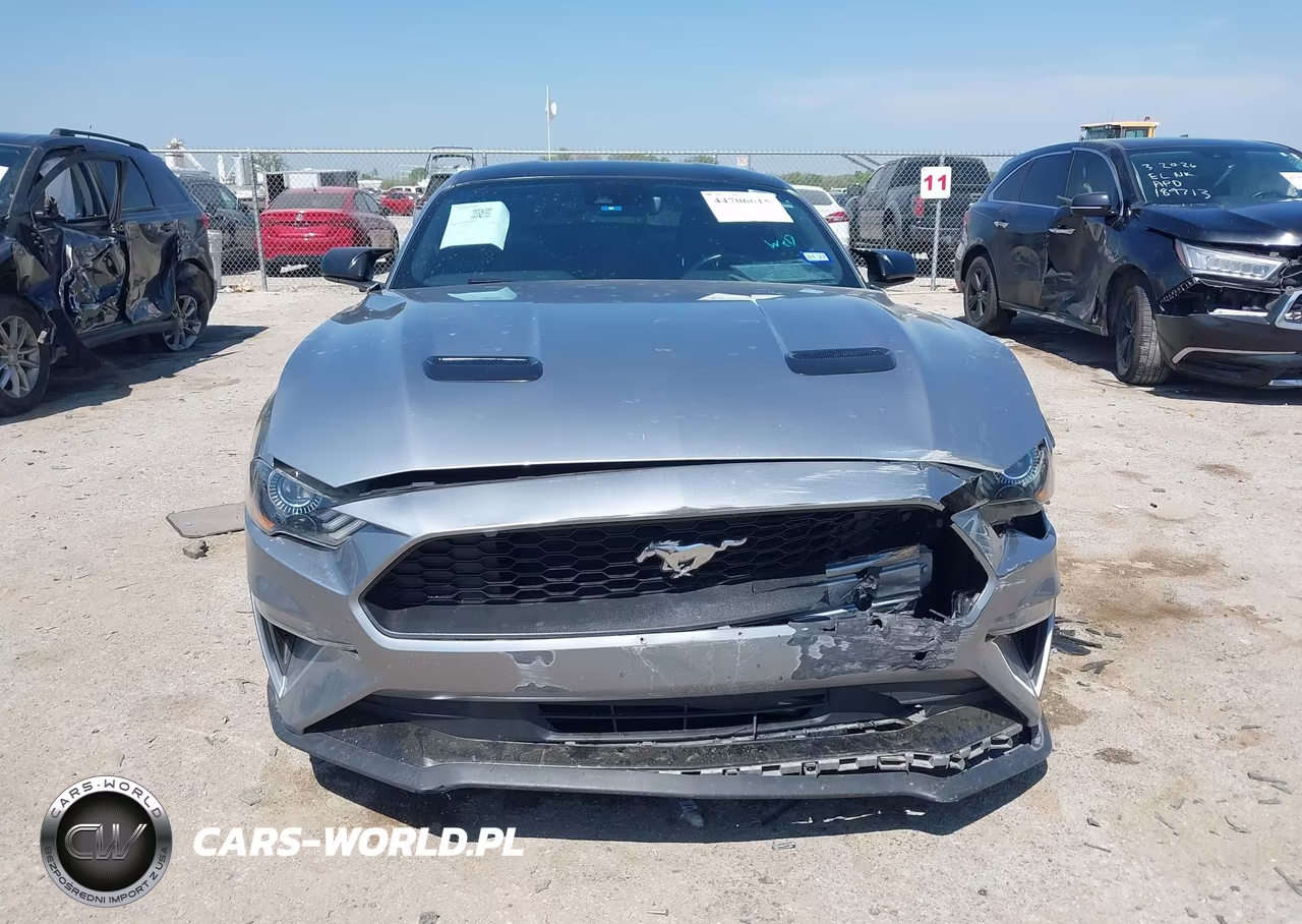 2022 Ford Mustang Ecoboost Premium Fastback VIN:1FA6P8TH3N5106111 - 13
