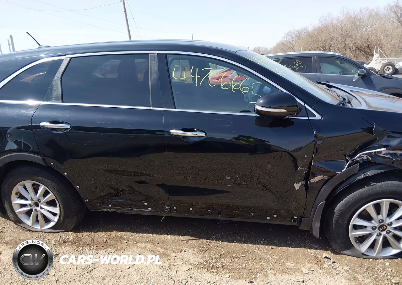 2019 Kia Sorento 2.4L L VIN:5XYPG4A30KG583466 - 13