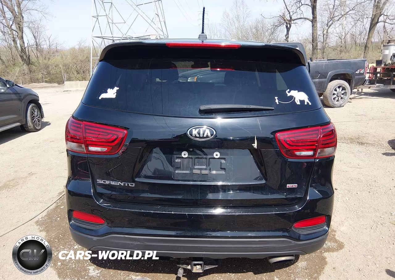 2019 Kia Sorento 2.4L L VIN:5XYPG4A30KG583466 - 16